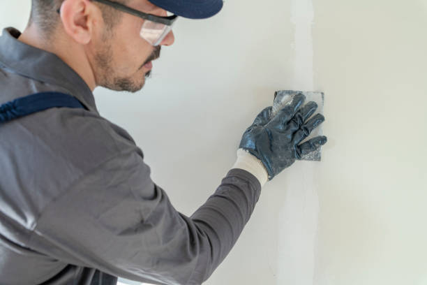Best Post-Construction Mold Inspection  in Milton, WI