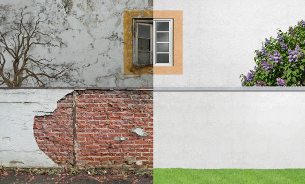 Best Mold Documentation for Insurance Claims  in Milton, WI