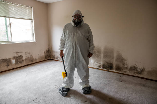 Best Basement Mold Removal  in Milton, WI